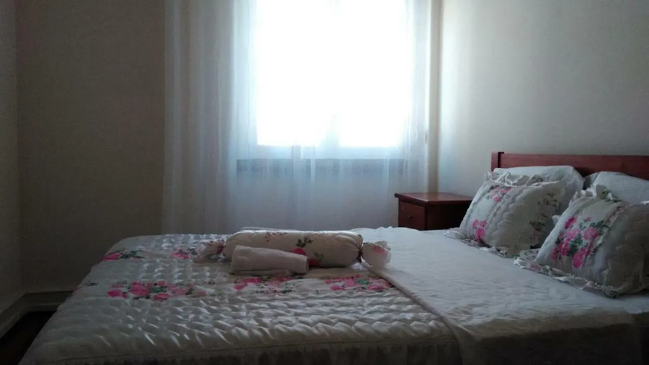 Hostel Absolut Morning Lisbon